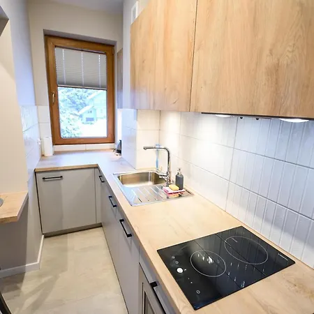 Apartament Sun&snow Bukowa Dolina Krynica-Zdrój